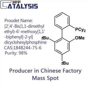 [2',4'-Bis(1,1-dimetiletil)-6'-metoksi[1,1'-bifenil]-2-il]disikloheksilfosfin CAS: 1848244-75-6